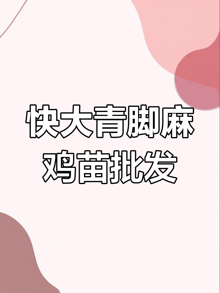 广州兴鹏禽业:快大青脚麻鸡苗批发,质量保证