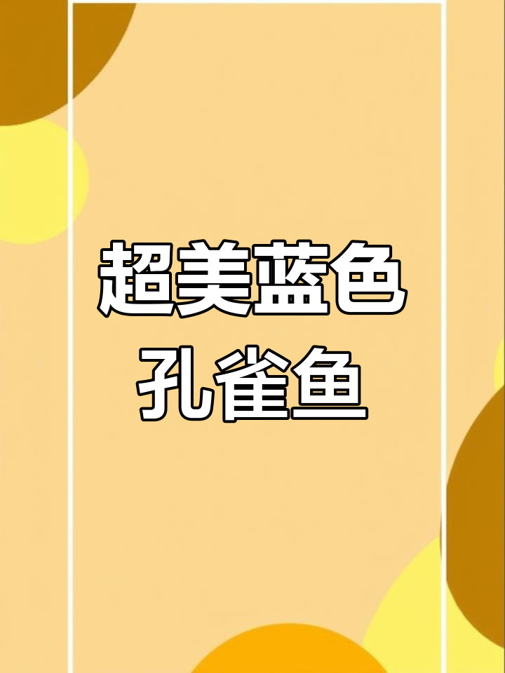 这款蓝孔雀鱼太特别了,半月尾鳞片包裹全身!