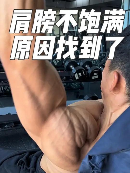 为什么你的肩部不够饱满?你起点位置练到了没有?肩部肌肉也叫叫三角肌,这么看比较直观了吧