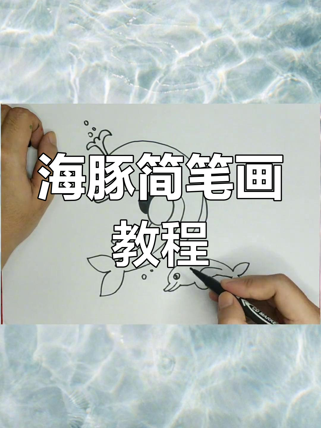 绘制跃出海面的海豚