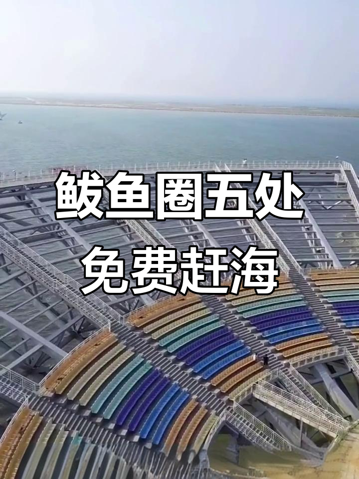 鲅鱼圈五大免费赶海地点,最后一个只有本地人才知道