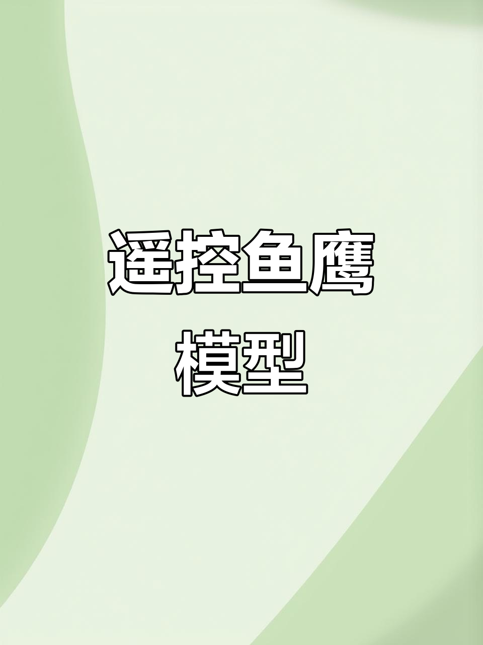 遥控鱼鹰大飞机,动态版全功能操控