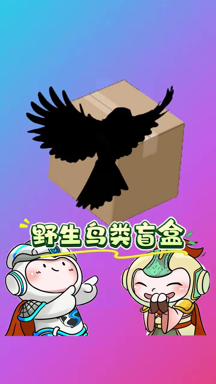 睁一只眼闭一只眼——绿头鸭 鸟类 科普 绿头鸭 爱鸟护鸟 涨知识