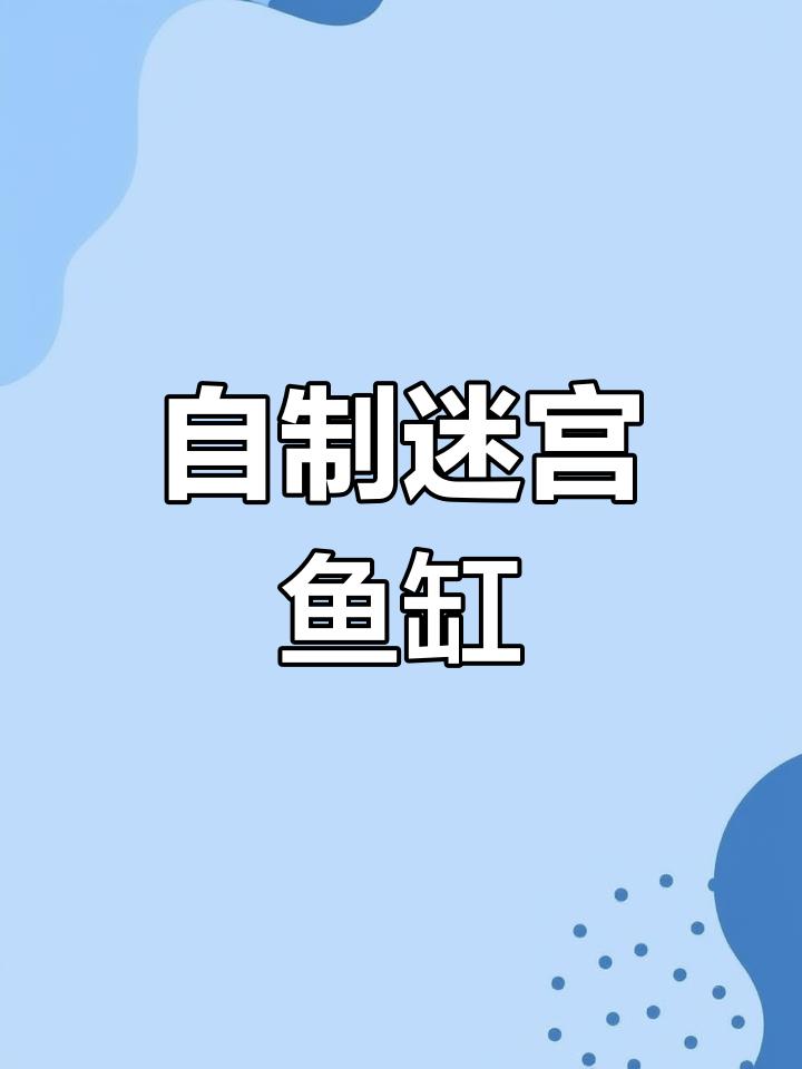 男子用亚克力水管打造迷宫鱼缸,鱼儿自由穿梭