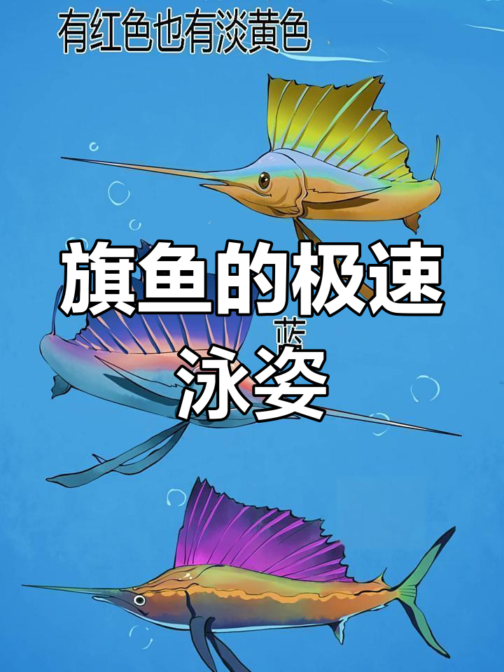 动物游泳冠军揭秘:旗鱼如何打破速度极限