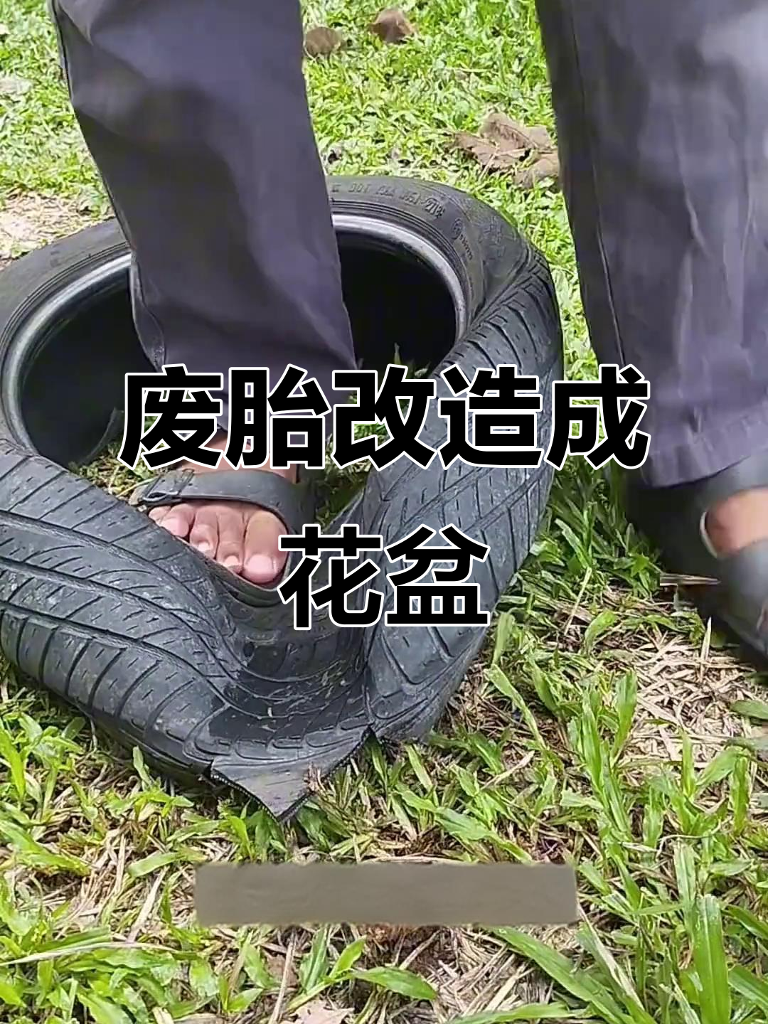 废轮胎变花盆,创意改造让生活更美好
