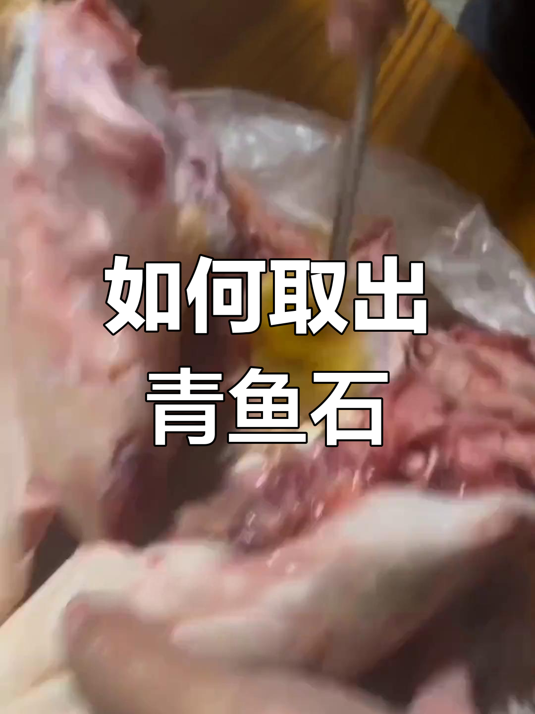 青鱼石的正确取法,轻松搞定