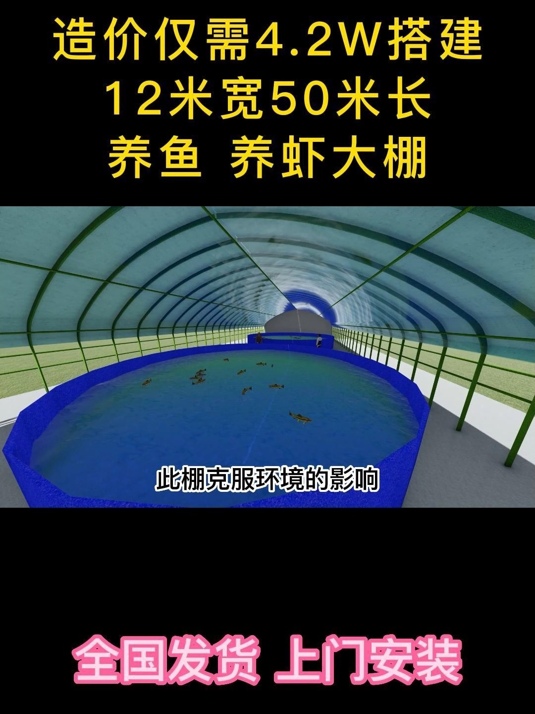 养鱼 养虾大棚 这样做!