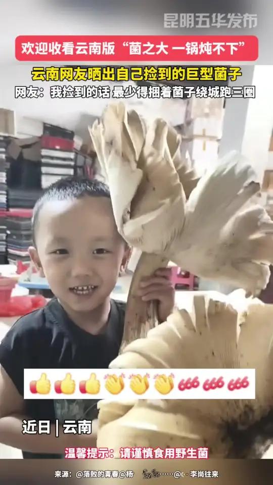 欢迎收看云南版“菌之大 一锅炖不下”