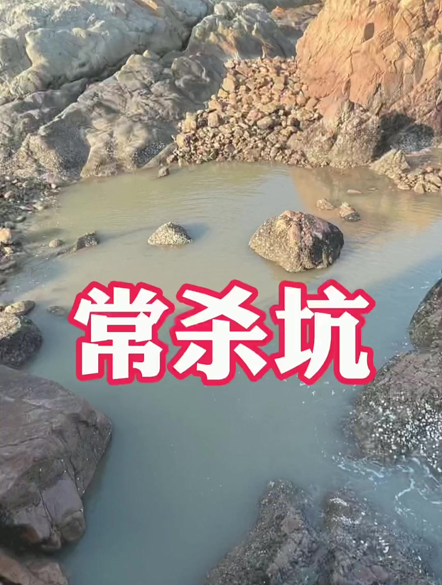 鸭血泡红线鱼打窝，引来十几条凶狠鳗鱼霸窝，狂抓不停价！