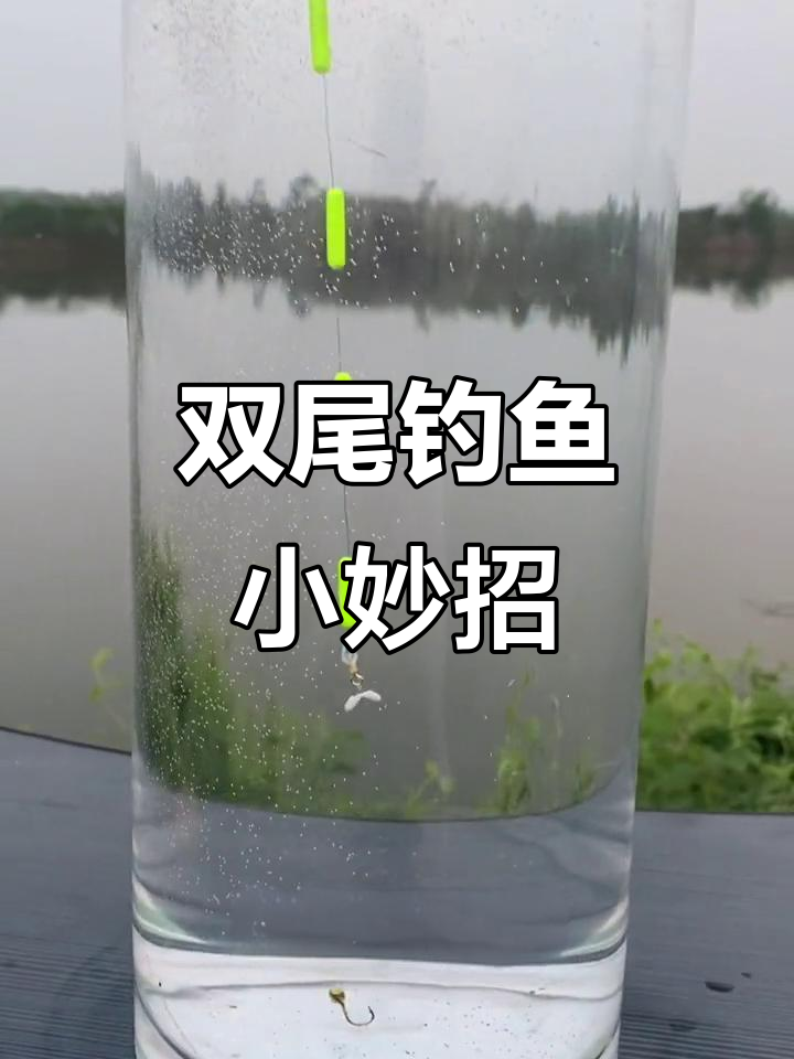 传统钓双尾鱼技巧,轻松上钩不费力