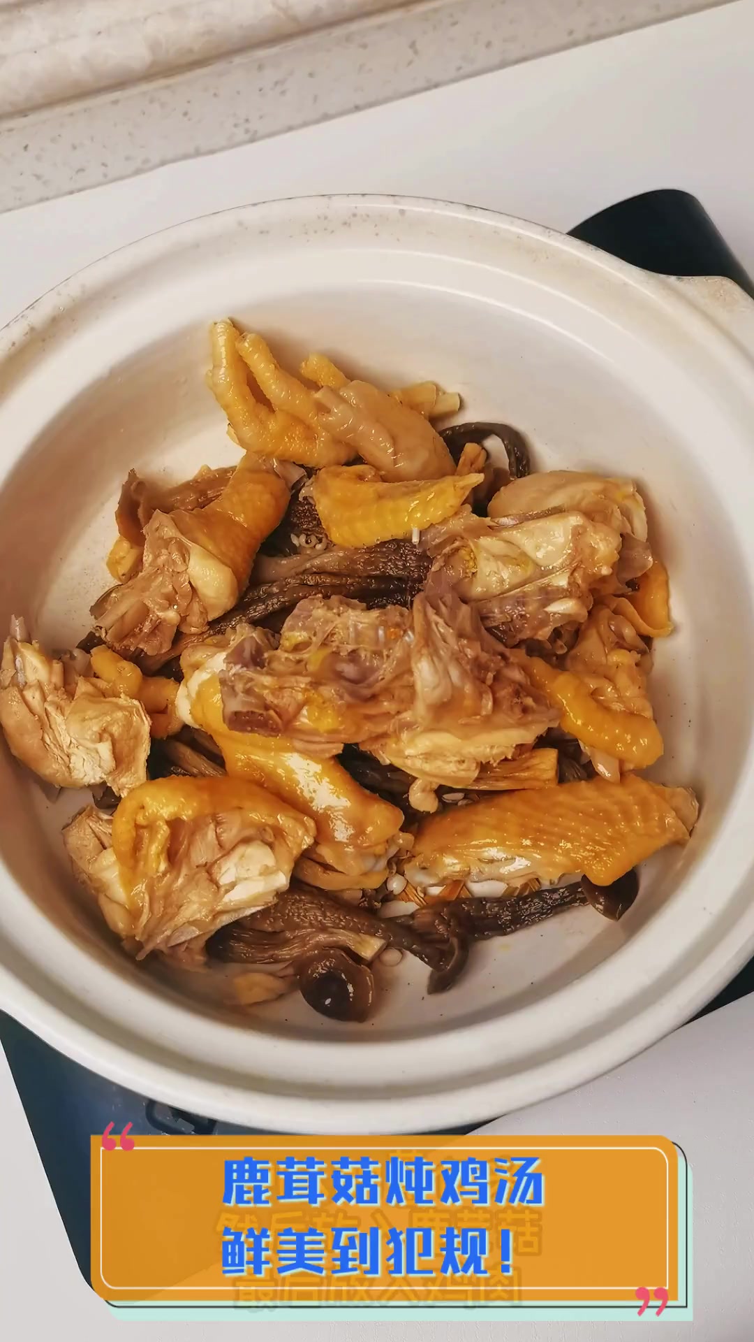 鹿茸菇炖鸡汤,鲜美到犯规!