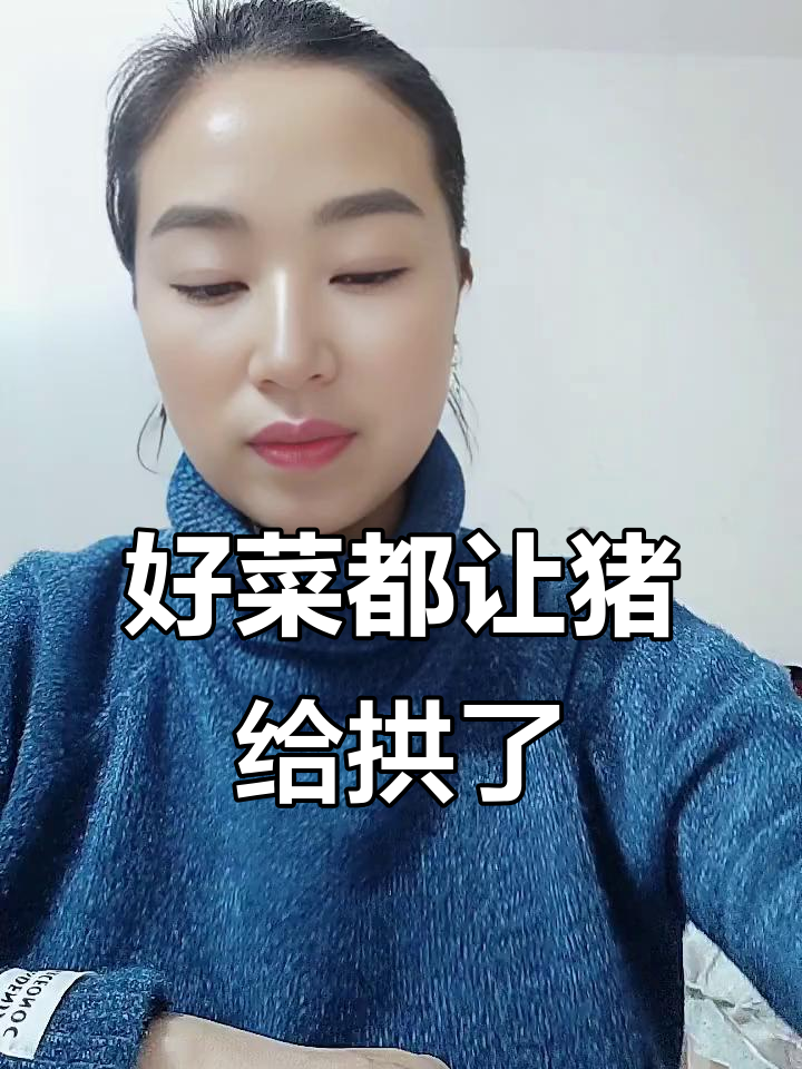 猪公与烂白菜的幽默对话,笑点满满