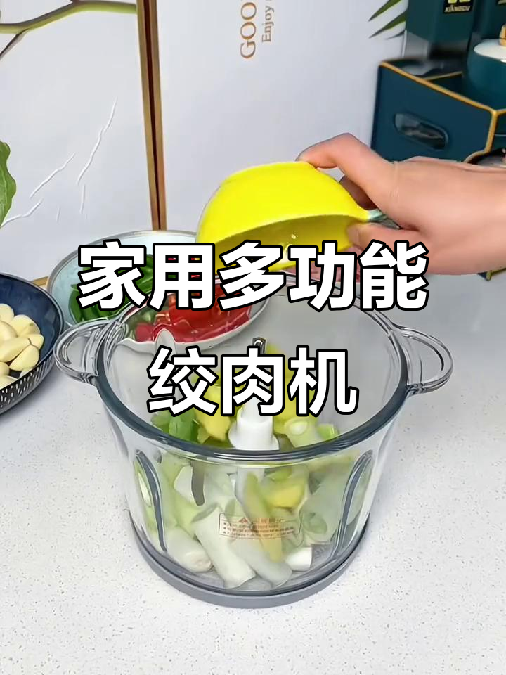 志高多功能绞肉机,家用电动小型打馅碎菜轻松搞定