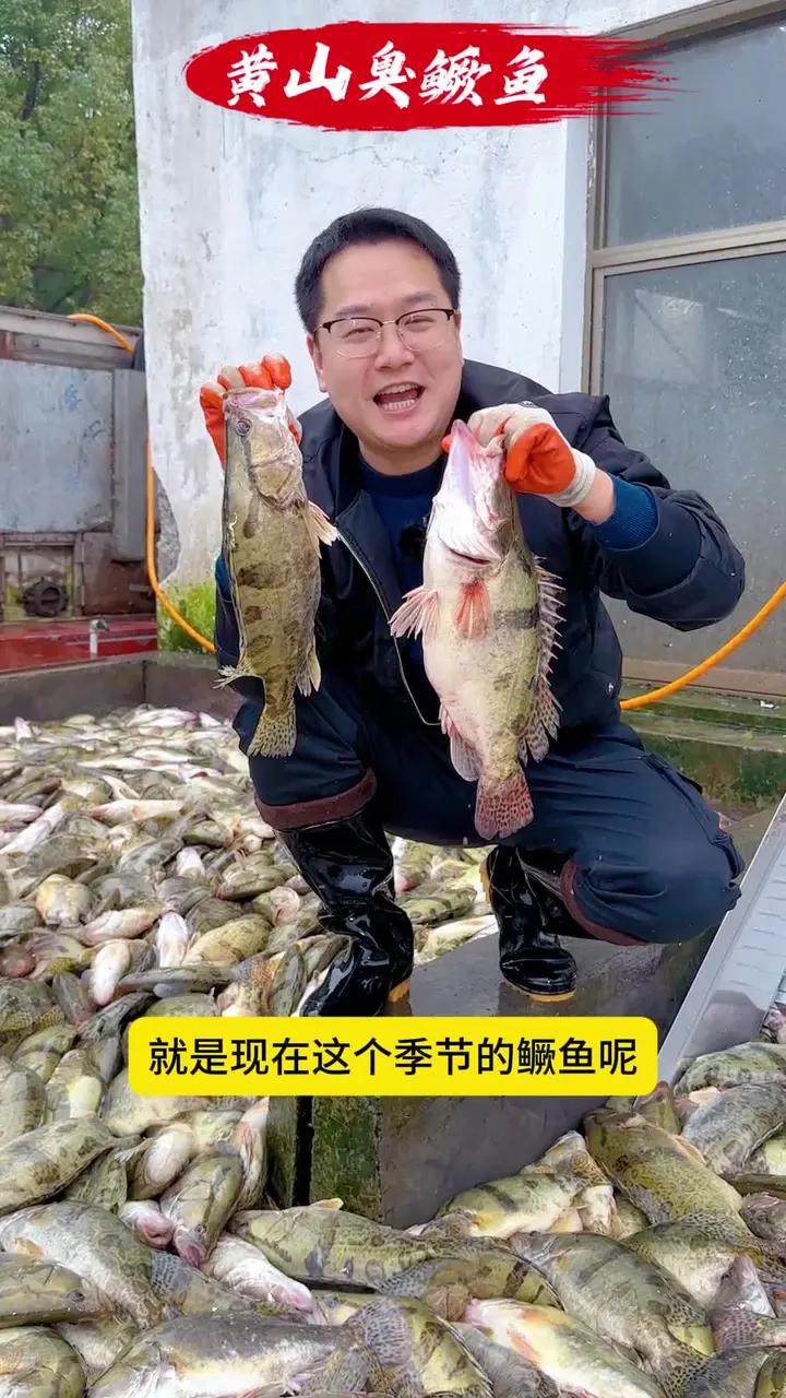 别一嘴馋就给饭店送钱了，来看看我们原产地臭鳜鱼