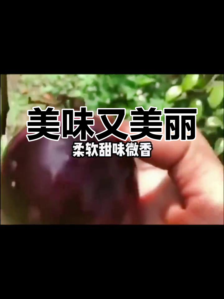 金星果,甜美可口,美容养颜,助你焕发活力