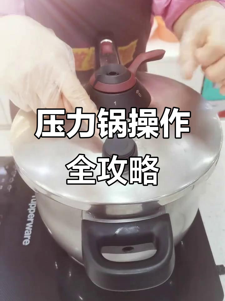 特百惠压力锅使用技巧,轻松做出完美炖汤
