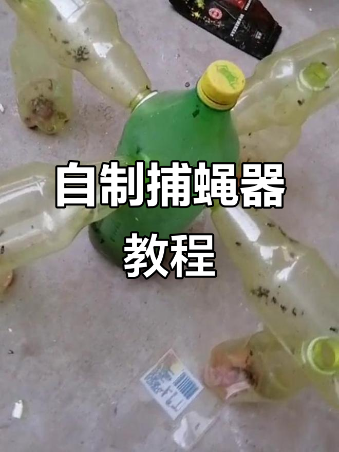 夏季苍蝇成灾?教你用矿泉水瓶做捕蝇神器,轻松搞定!
