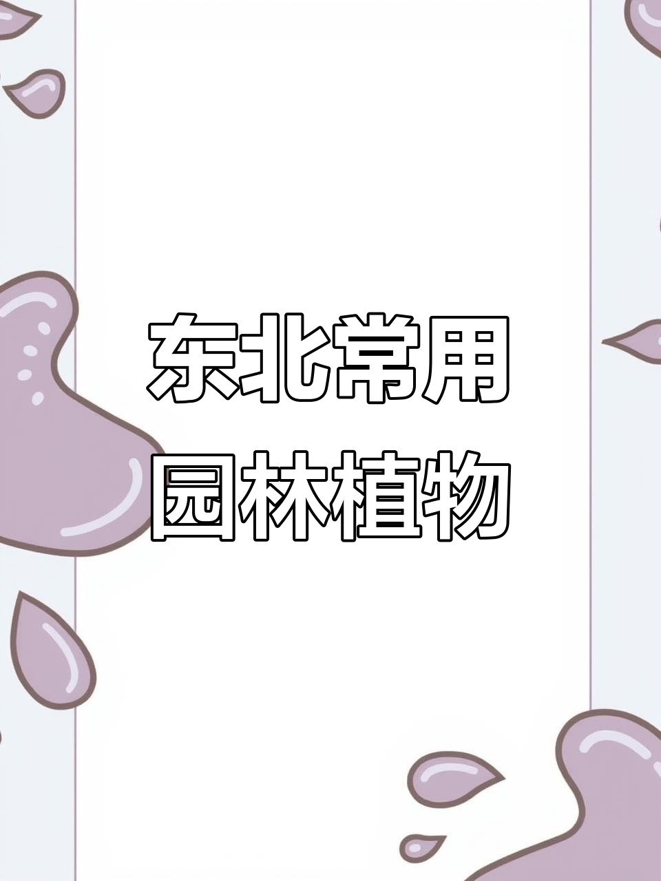 东北常见园林植物大揭秘:小叶丁香、紫丁香等必看品种