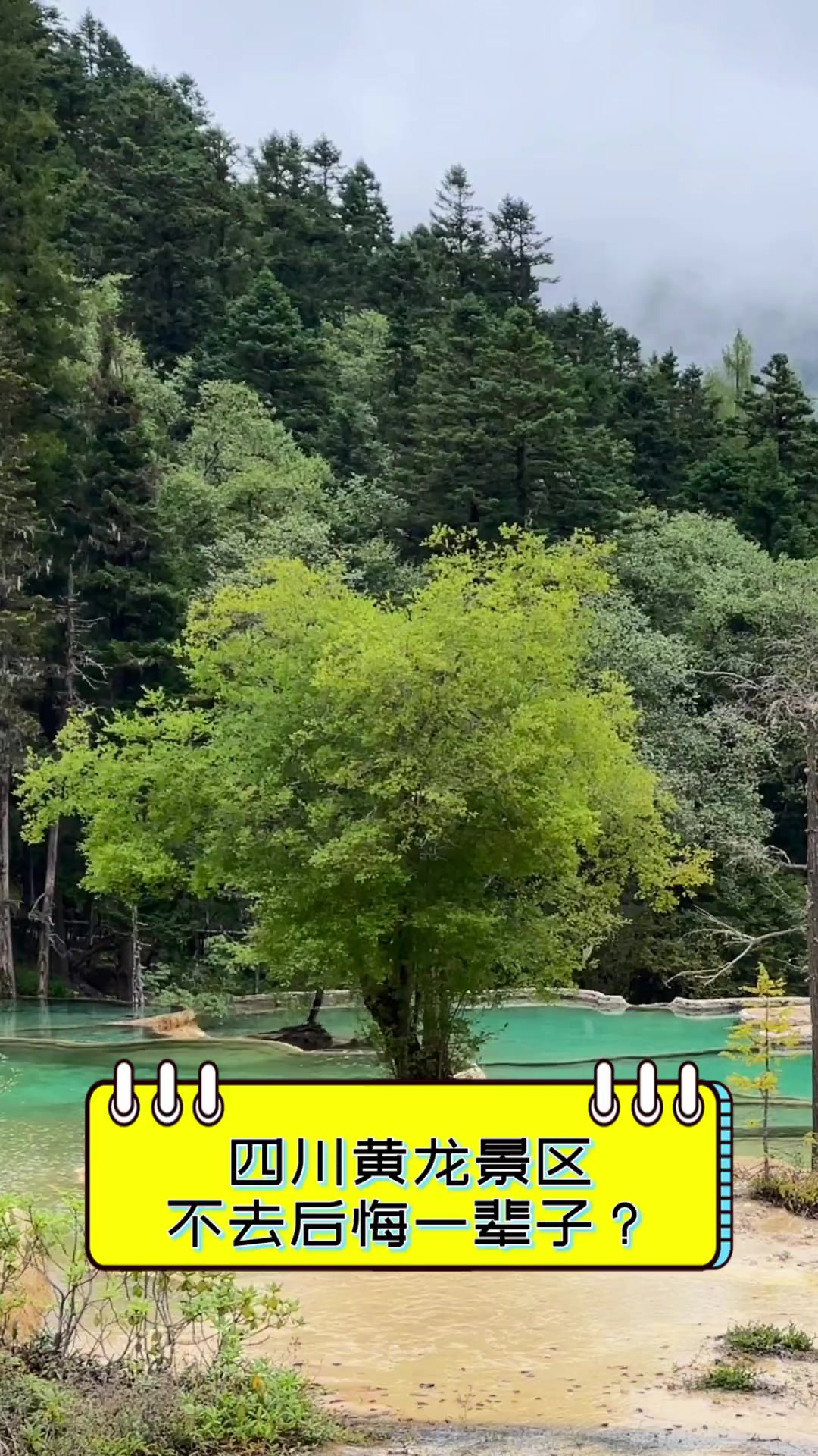 四川黄龙景区,不去后悔一辈子?
