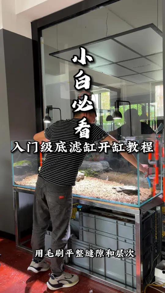 创作灵感 千元新手入门级,免打孔底滤溪流缸缸开缸教程来了,性价比到顶!溪流缸 周转箱底滤 