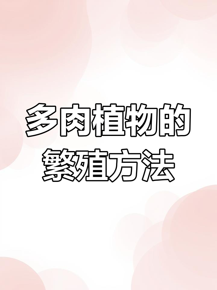 摇钱树修剪技巧,教你如何繁殖多肉植物