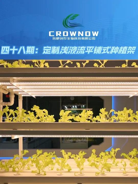 定制浅液流平铺式种植架 种菜种花，空间有限？试试这款浅液流平铺式种植架！占地小，产量高！标