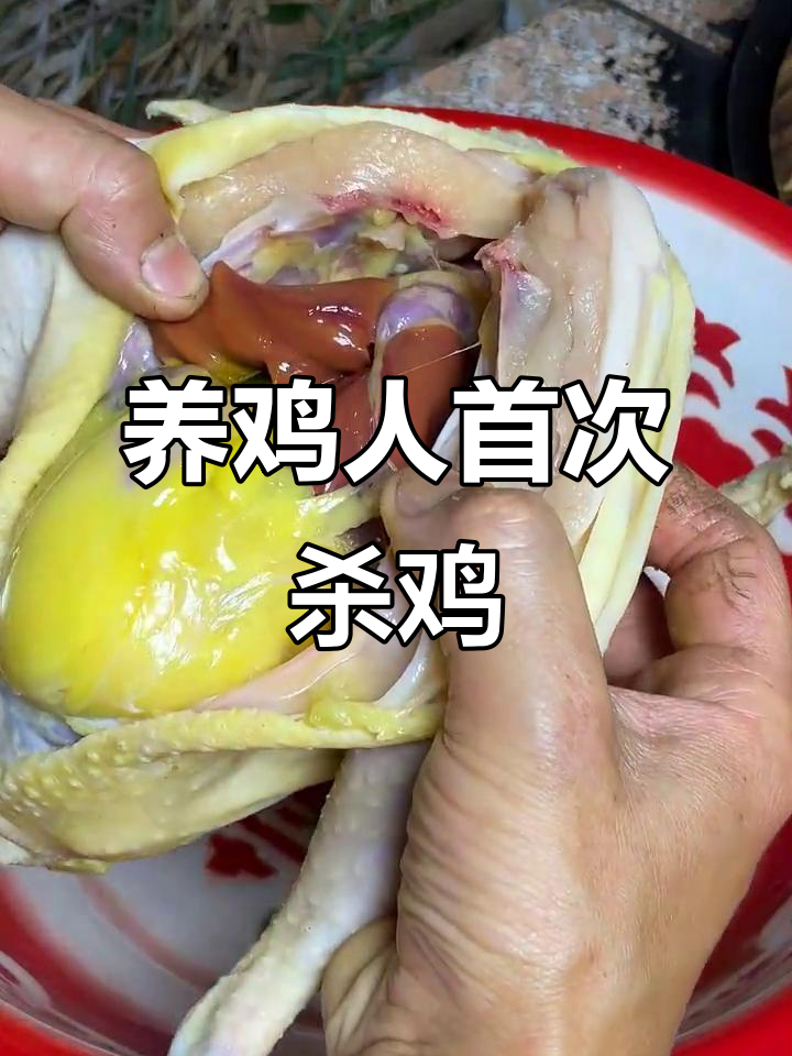 第一次杀鸡，结果竟然这样！五花大绑、皮开肉绽的土鸡做法