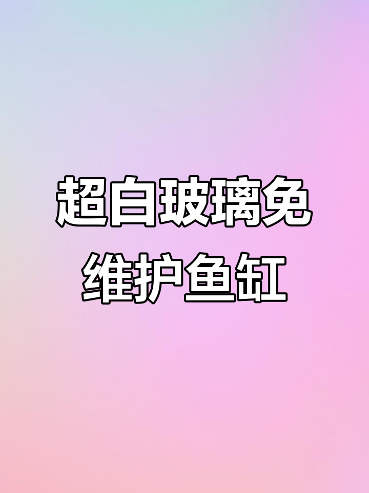 郑州闽江水族全新超白鱼缸，免维护底滤设计让水质更清澈