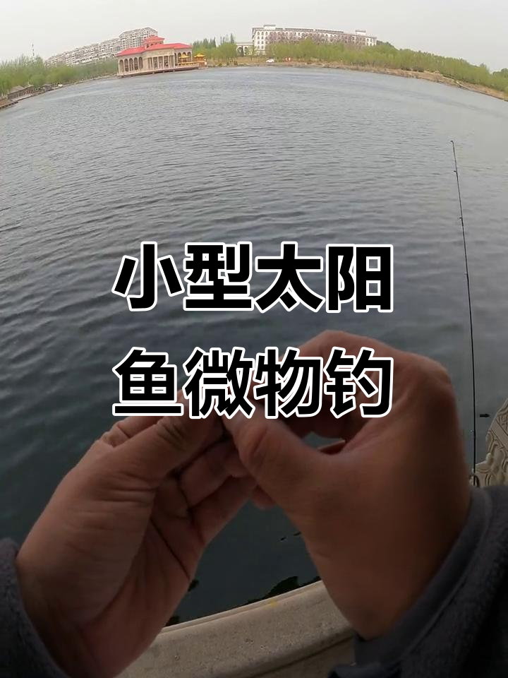 微物路亚钓小太阳鱼,定制杆搭配轻松搞定