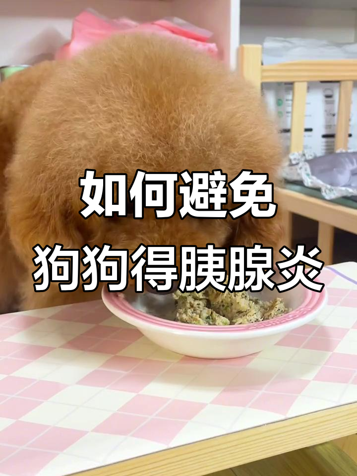 狗狗胰腺炎真的是吃肉导致的吗?揭秘真相和预防方法