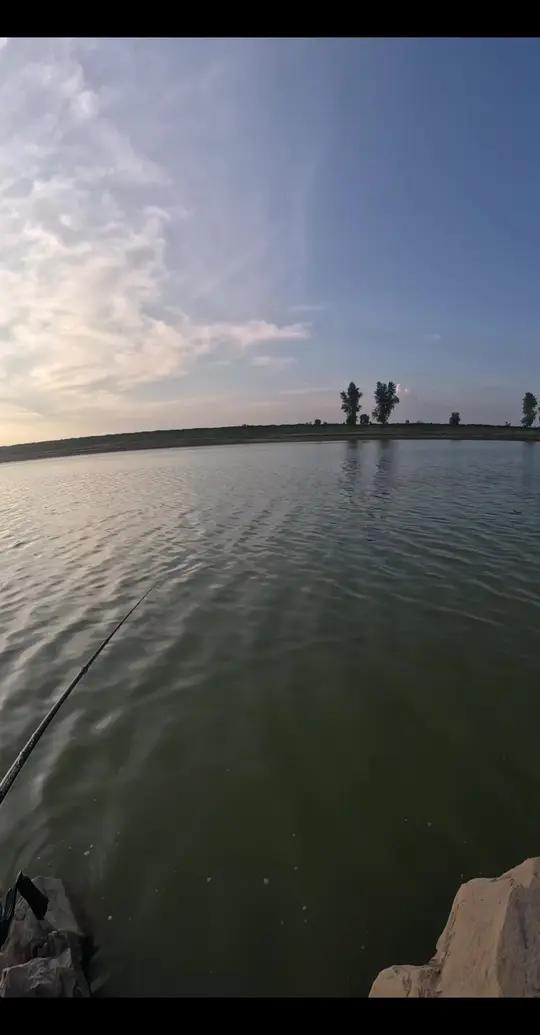 各位,晚口来菜园子摘个菜回去加餐。明显这条鱼不太配合啊,这么久才给口!路亚鳜鱼 黑曼巴狐月