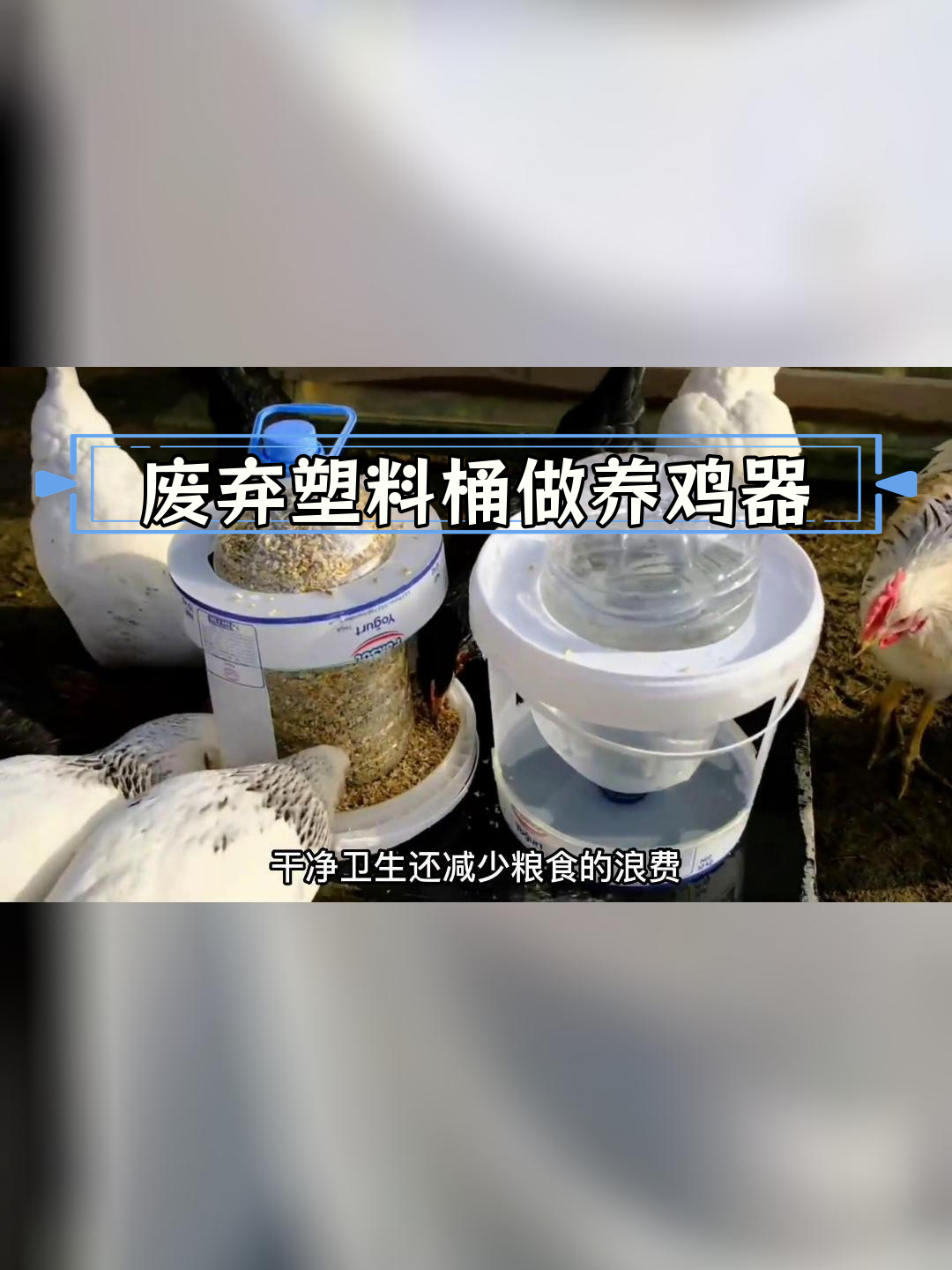 用废塑料桶制作自动养鸡神器,轻松实现喂料饮水两不误
