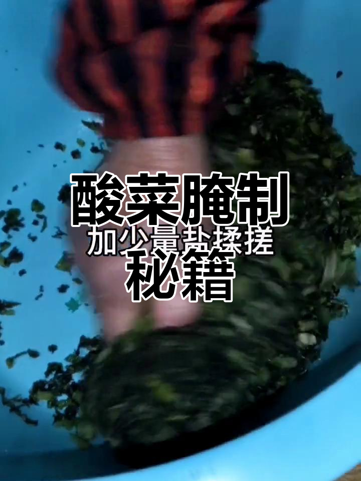 老妈分享酸菜腌制秘诀,简单又持久,放一年依旧新鲜!