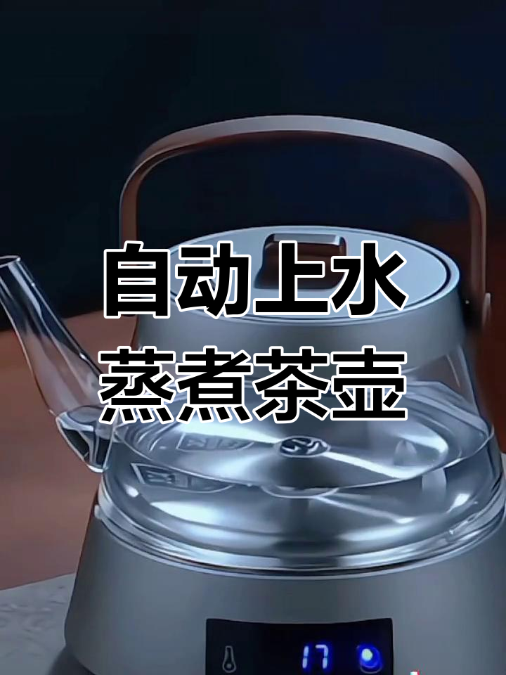 杭州上海茶文化的差异,全自动玻璃煮茶壶体验