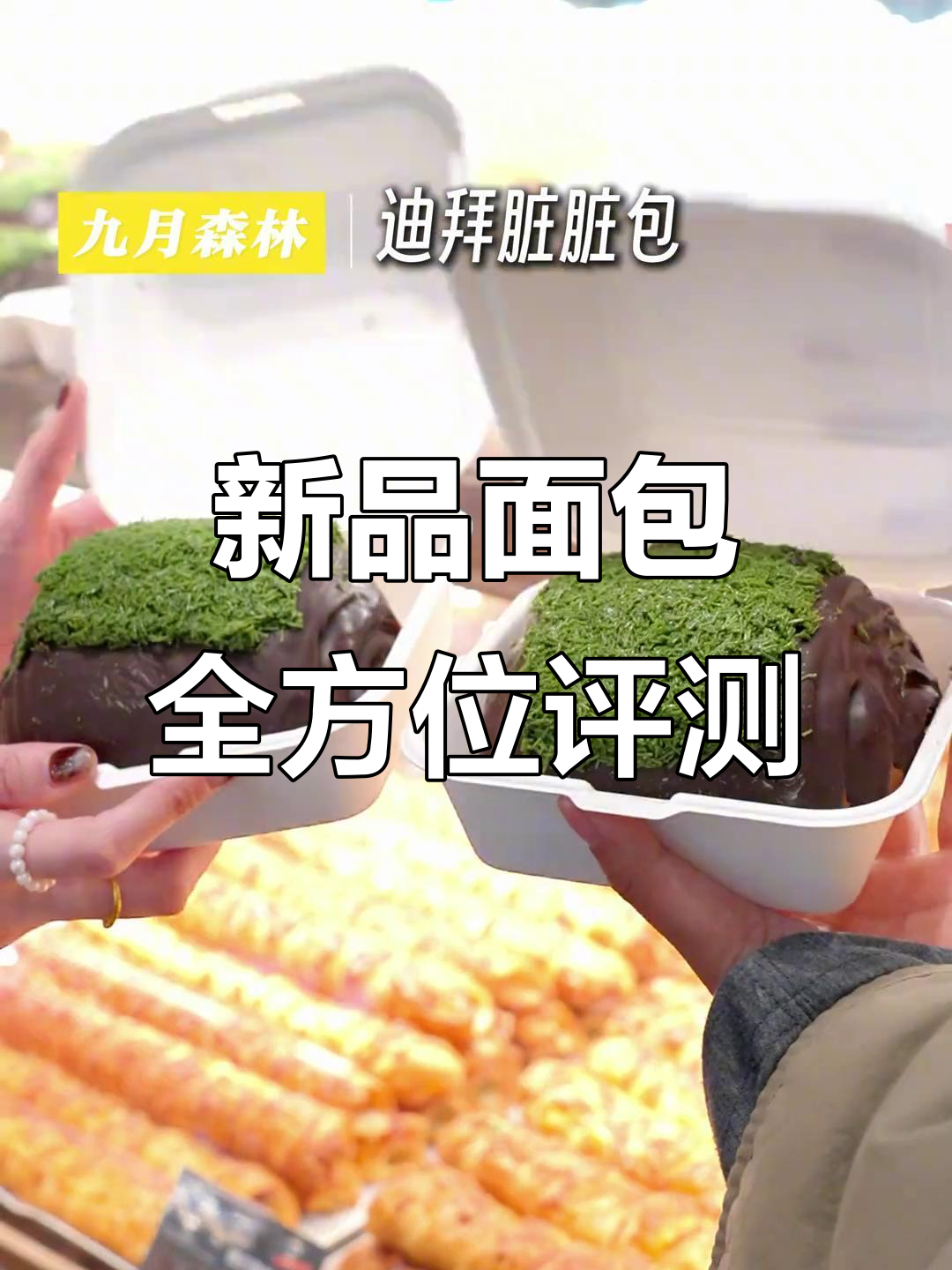 九月森林新花城限定面包大测评,热门新品全体验!