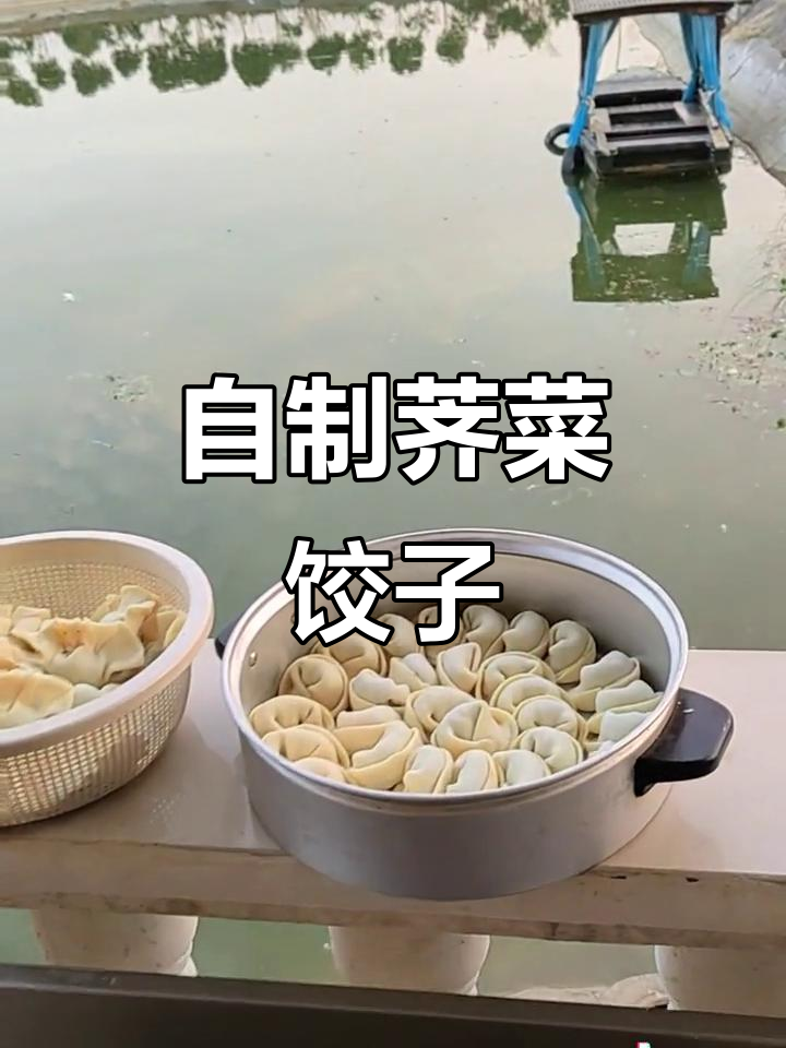 乡村荠菜饺子大作战,元宝与白菜形状的独特包法