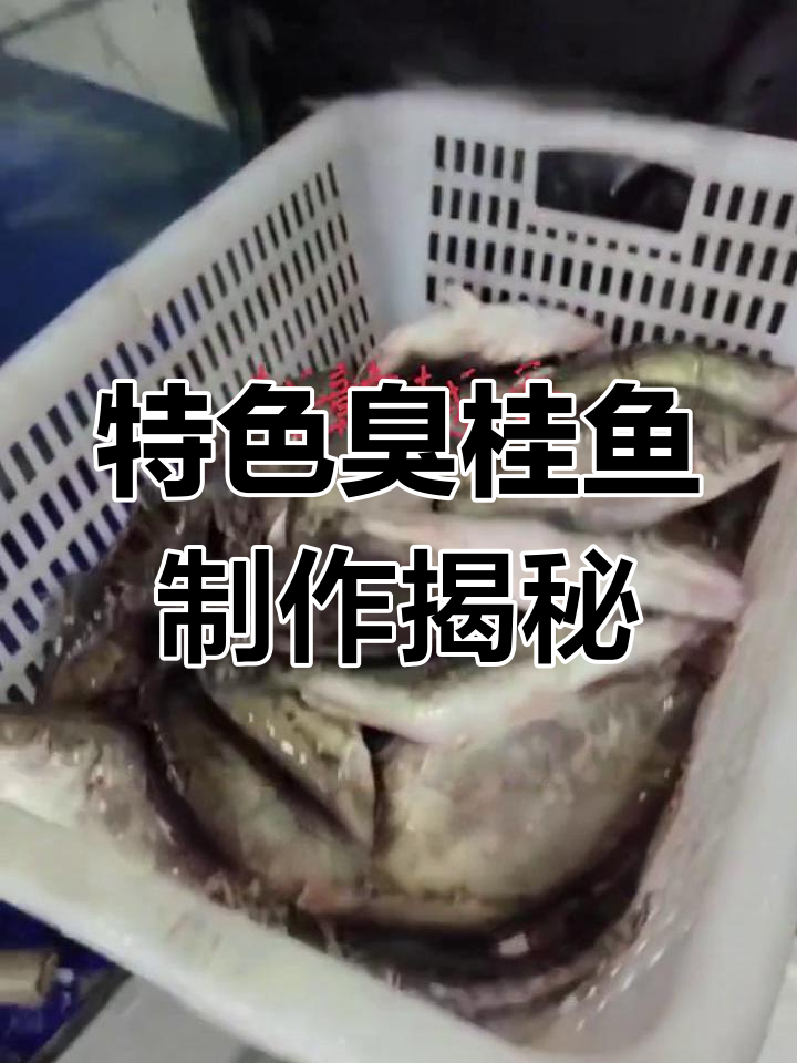 臭桂鱼与臭豆腐的完美结合,鲜香十足让人停不下来