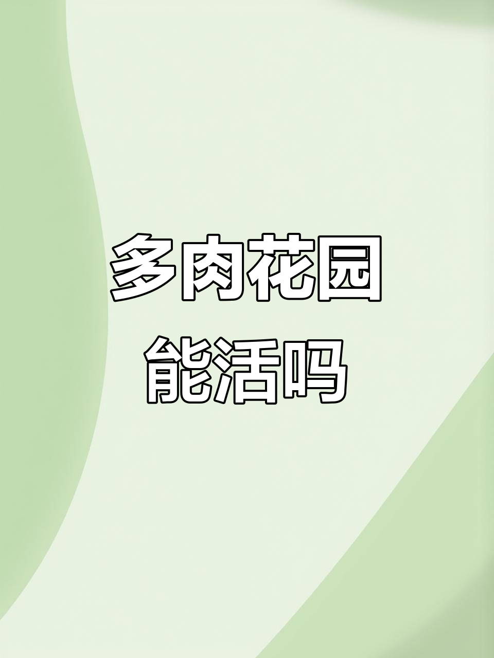 成都多肉造景能撑多久?大家都不看好,你怎么想?