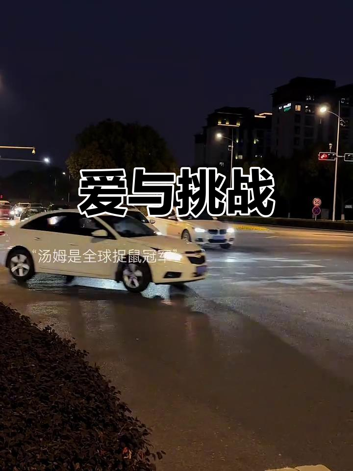 汤姆,捉鼠高手却屡次败给小老鼠,爱与挑战的较量