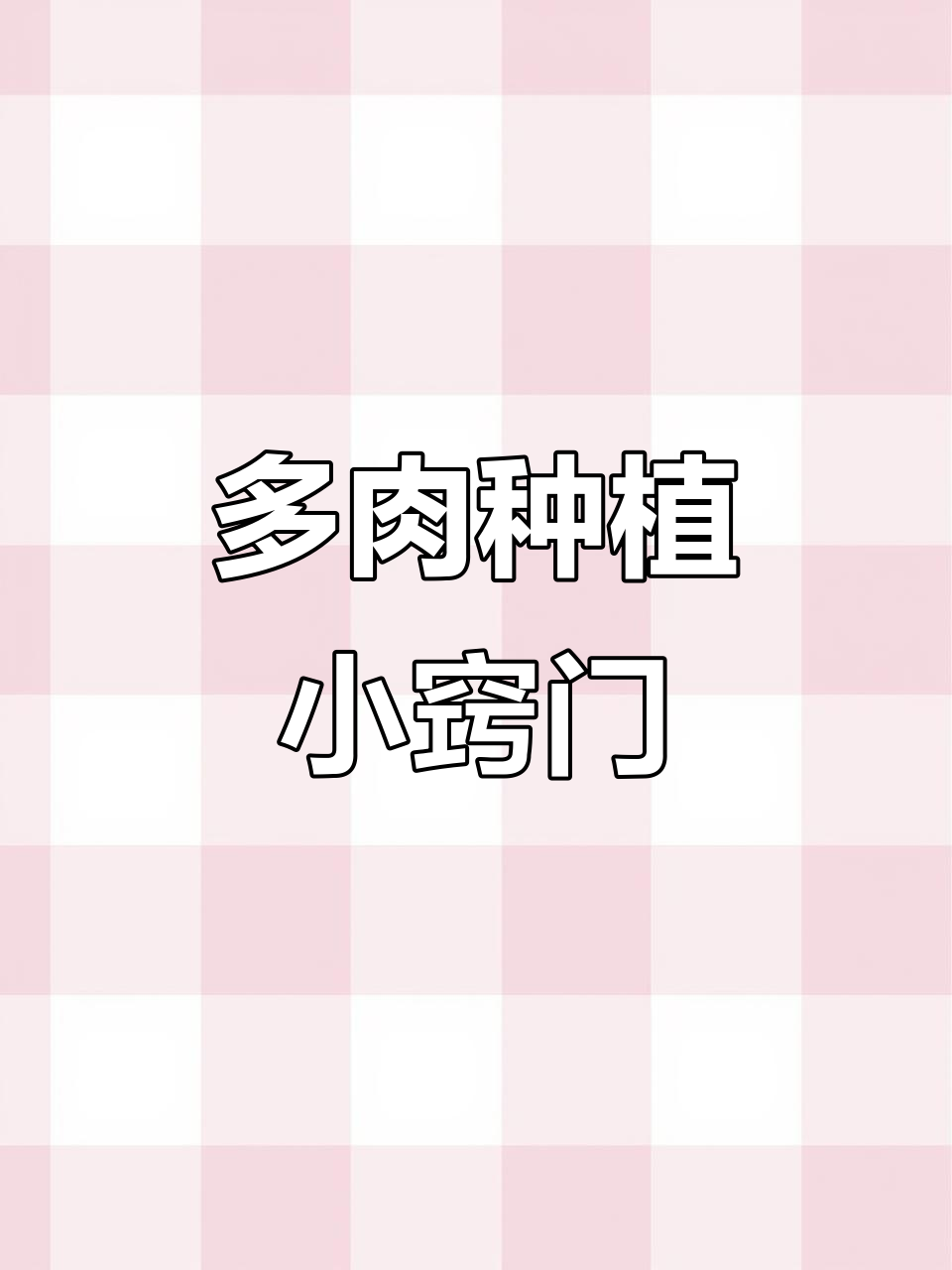 缺口纹多肉种植技巧,轻松搞定!