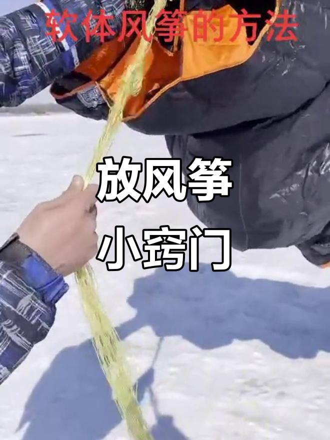 大型软体风筝放飞技巧大揭秘,手忙脚乱也能搞定!