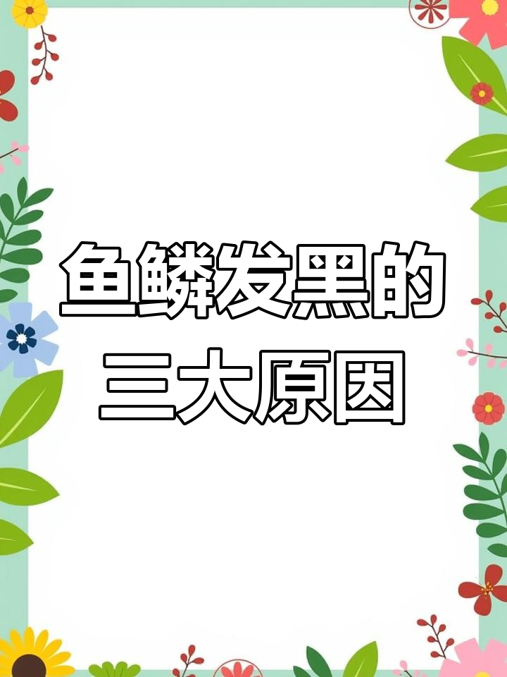 金鱼鳞片变黑?三种原因及应对方法揭秘