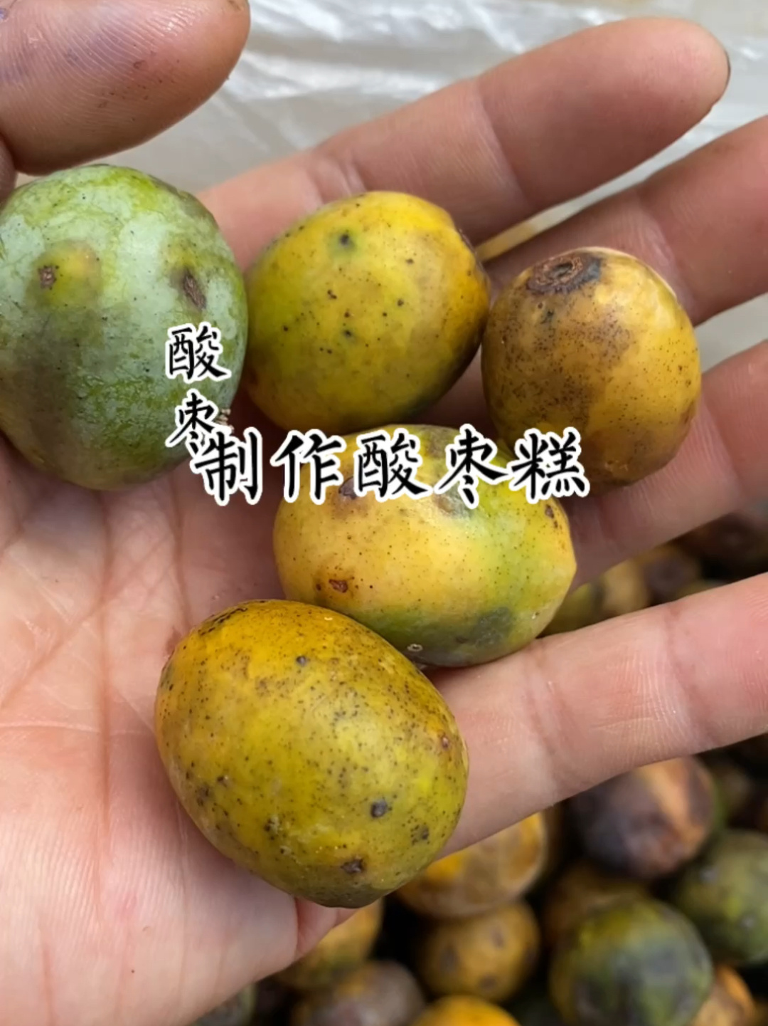 制作 酸枣糕