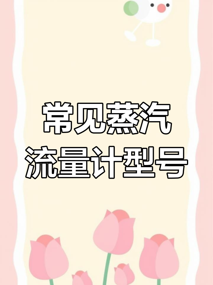 蒸汽流量计的规格与选择指南