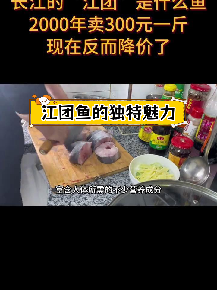 江团鱼:从300元到降价,背后的原因揭秘