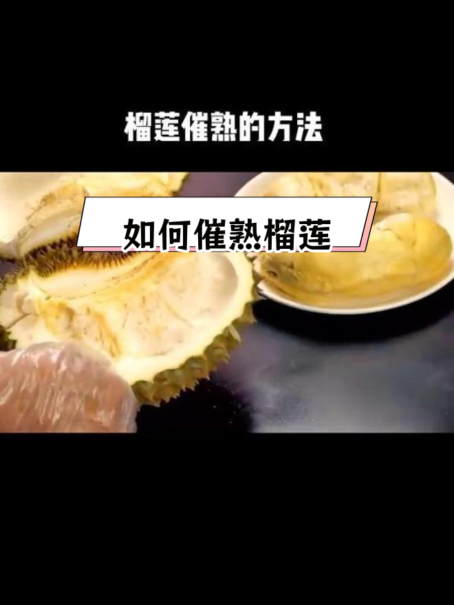 榴莲催熟技巧大揭秘