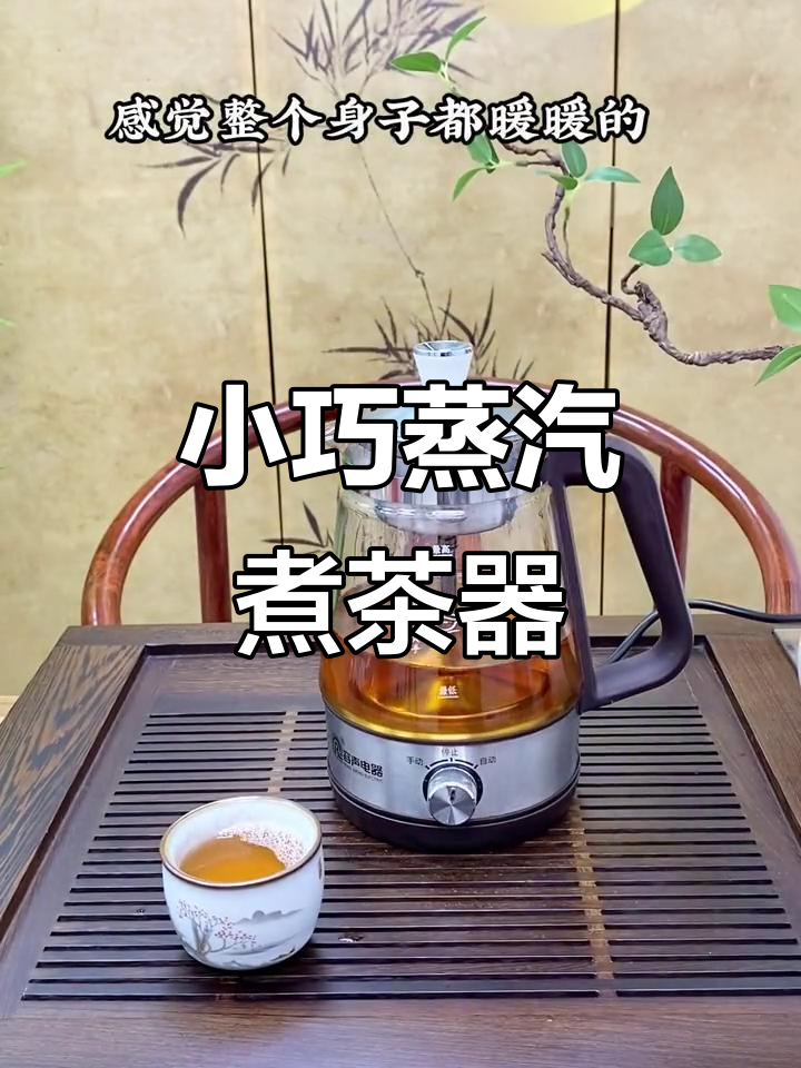 这款煮茶壶,蒸汽加热,小巧省空间,喝茶更便捷!