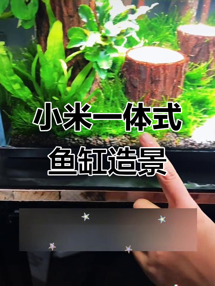 一体式鱼缸造景,沉木水草完美搭配,小丑鱼锦鲤畅游其中