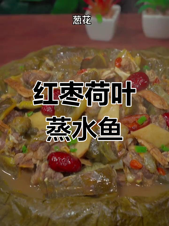 红枣荷叶蒸水鱼,酒楼必备硬菜!
